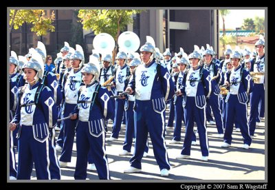 DSC_2335.jpg
