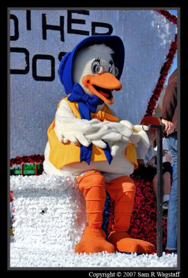 DSC_2346.jpg