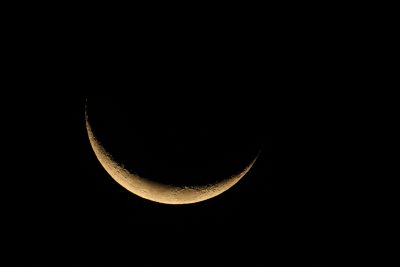 The moon (hand-held), North Seymour (Galpagos), Ecuador, December 2008