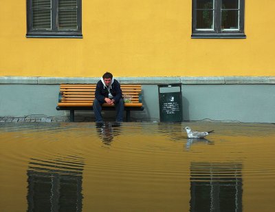 Man and seagull