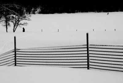 Fence in snow #8