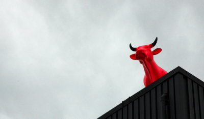 Holy cow!