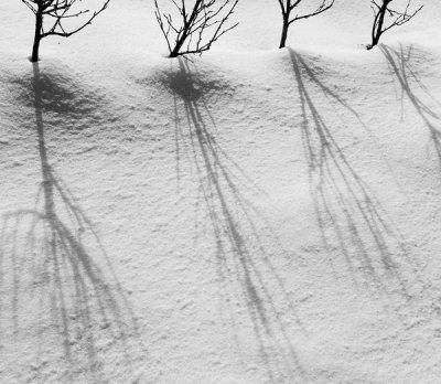 Shadows in snow