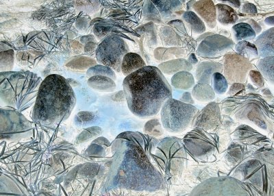 DSC_5748 03-01-03 Merced River rocks & grass near El Cap 500 x 700 flat, inverted.jpg