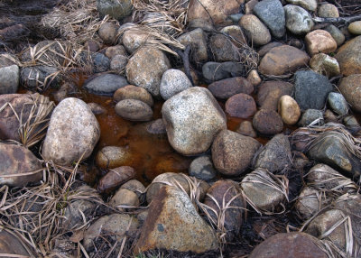 DSC_5748 03-01-03 Merced River rocks & grass near El Cap 500 x 700 flat.jpg