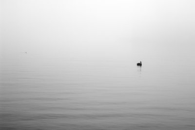 g3/68/808468/3/88736624.S8CIfyJh.jpg
