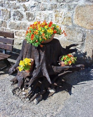 Flowers in Boucieu-le-Roi