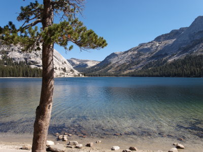 Tenaya Lake