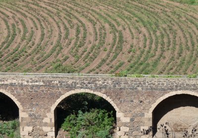 curved patterns