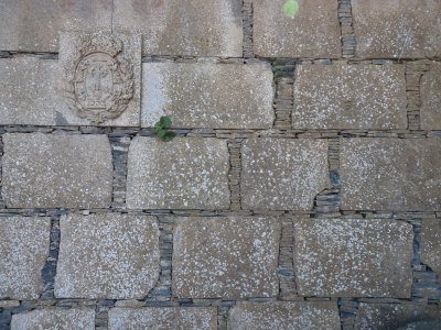 meticulous wall