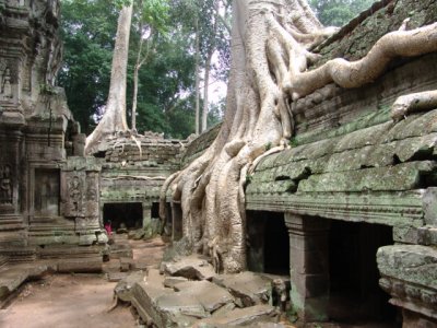 Angkor Temples