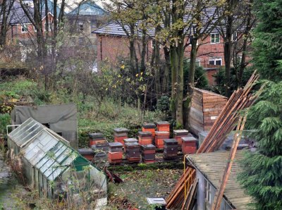 My Beehives in the UK