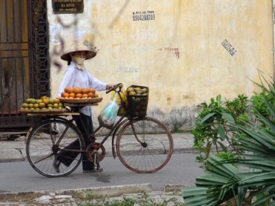 Fruit seller in Hanoi