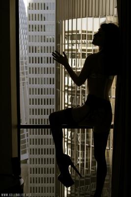 s_window_sillh01_web.jpg