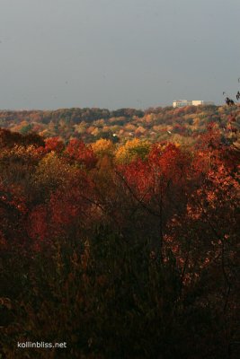 fall-rear-view.jpg