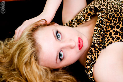 gm-leopardwindow02-web.jpg