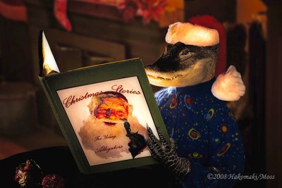 Smiley Xmas 2008 - Christmas Stories for Young Alligators