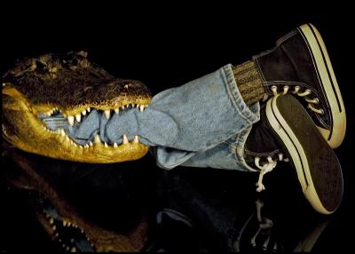 g3/69/169669/3/57274911.gator_shoes_3246w.jpg