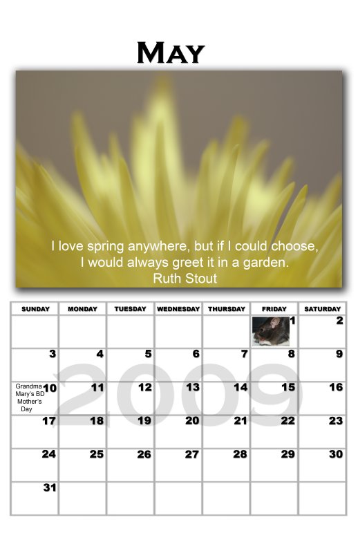 calendar