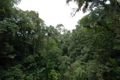 Arenal Cloud Forest