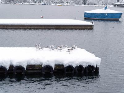 g3/69/22569/3/56871985.schnee7.jpg