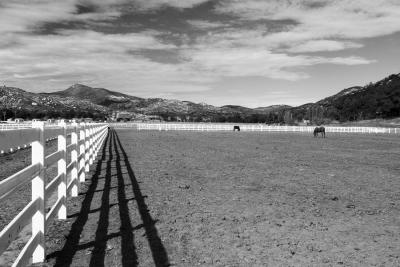 Horse farm B&W.jpg