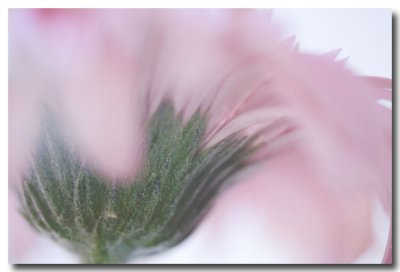 ....are interesting textures and colors.
