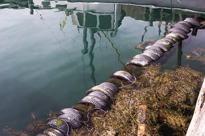 Tire bumpers and reflections.