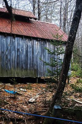 We find this sugar shack in the woods all by itself!