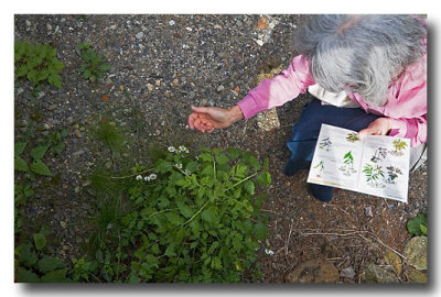 Frances gets her plant ID card out to help.