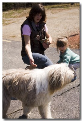 April 19: We visit Winter's Gone Farm and are greeted by Hairy, the dog.
