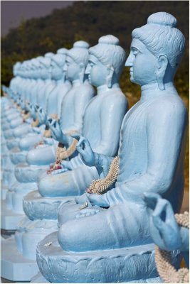 Blue Buddhas-Pattaya