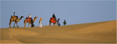 Desert ride-Jaisalmer