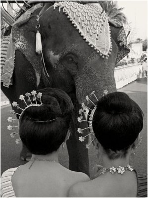 Beauties and the beast-Thailand
