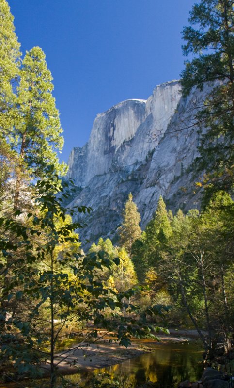 Half Dome from Tenaya Creek