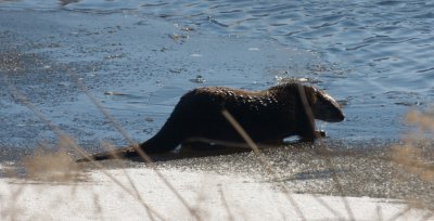 IMG_0394-4www.jpg