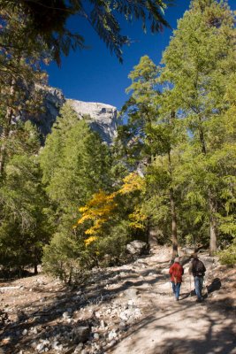 Robin and Saladin on the Mirror Lake trail