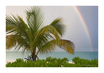 A Rainbow Sea II