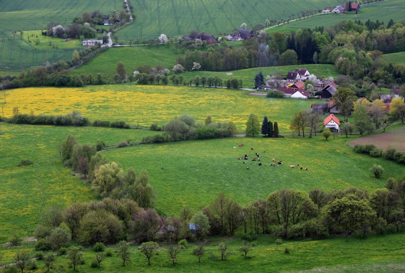 Landscape in North Bohemia