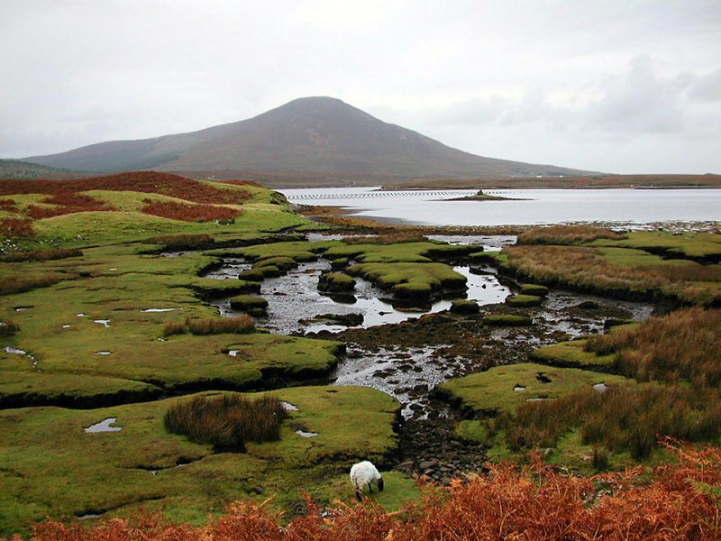 Connemara