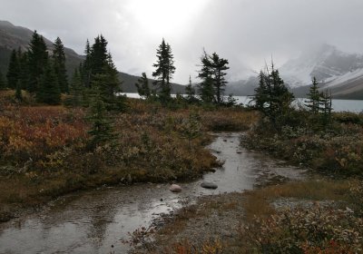 near Lake Louise in Banff NP