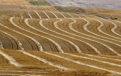 Farmland0001.jpg