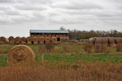 Farmland0002.jpg