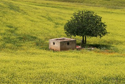 landscape near Meknes