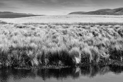 Pt. Reyes
