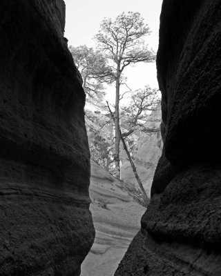 Tent Rocks