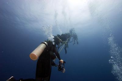 CRW_7579.jpg