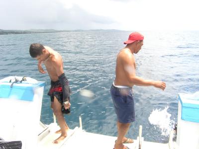 P1010036.jpg