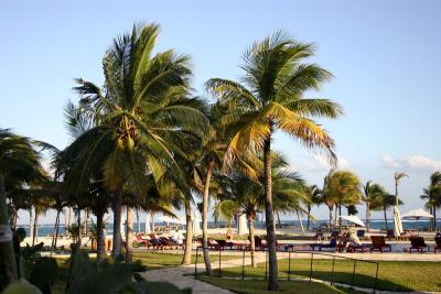 IMG_2391.jpg