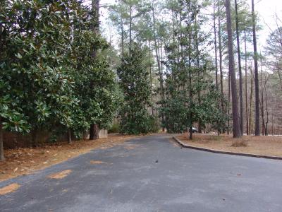 Standing at the end of the drive way beside the house looking down the drive.